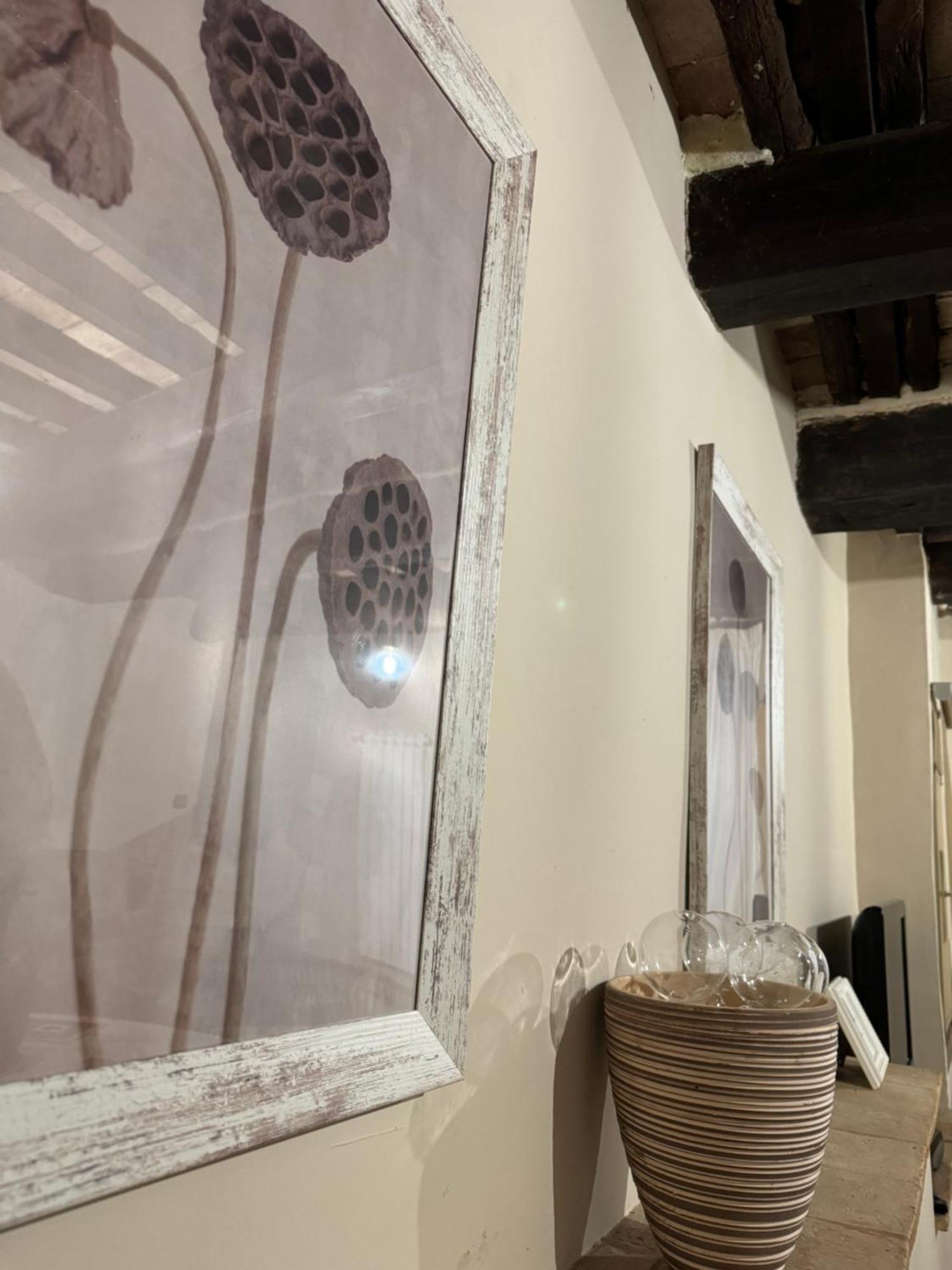 فندق Sforza House أكوابيندينتي المظهر الخارجي الصورة